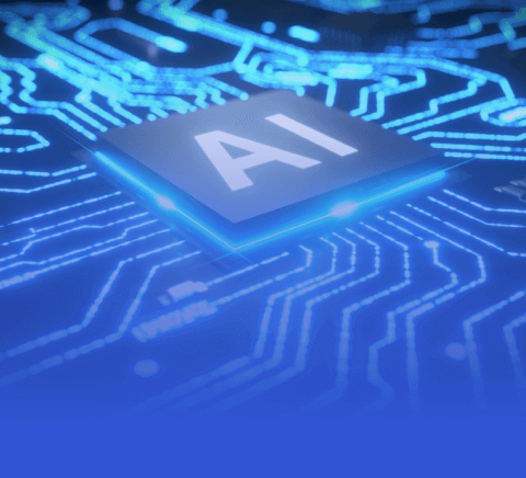 新手入门指南：jinnian金年会